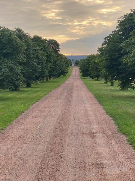 Na fotografii je vidět objekt Munkagården Bed & Breakfast nacházející se ve městě Svalöv.