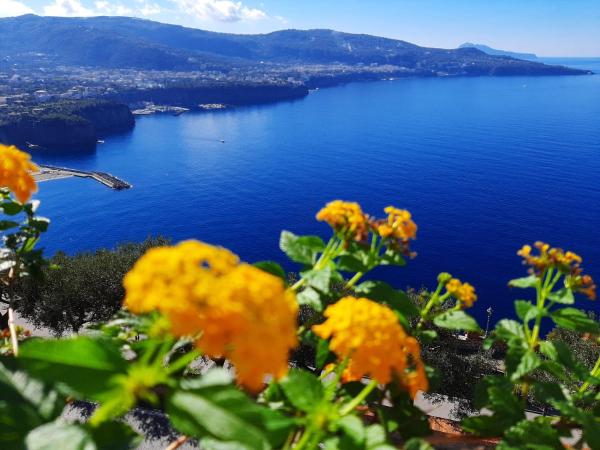 Na fotografii je vidět objekt Bella Vista House-Sorrento coast - free parking-solarium nacházející se ve městě Vico Equense.