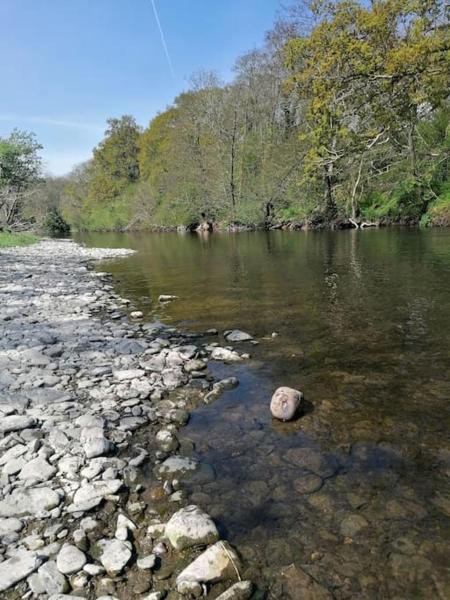 Billede 5: Cottage by the river in Cenarth with fishing and Wifi