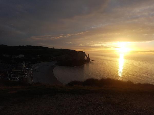Les Lupins - Étretat
