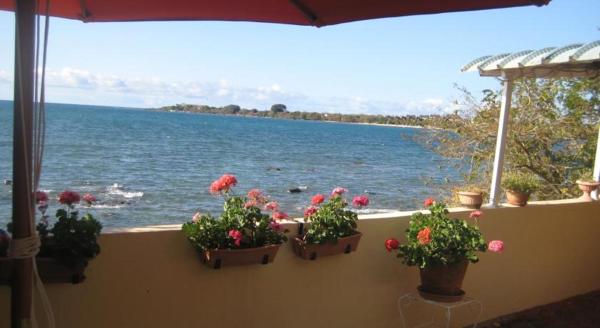 Le cactus guesthouse