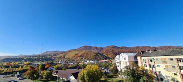 Nella foto è visibile l'oggetto Casa Suzana situato nella città di Cut.