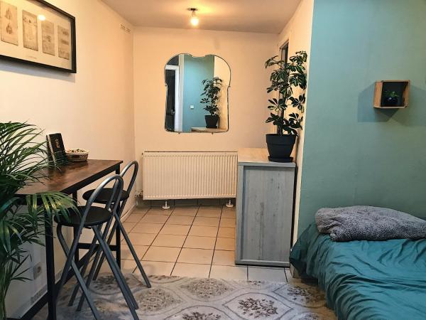 写真にはリエージュ市にあるChambre privative au cœur de Liège maison d hôte chez l habitantが写っています。