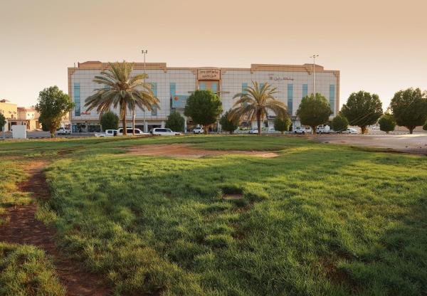 En la foto se muestra el objeto Mandareen Al Sharq Serviced Apartments ubicado en la ciudad de Az Zulfi.