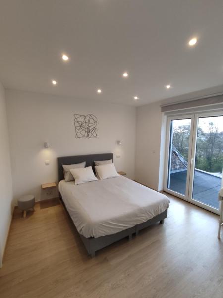 Kuvassa näkyy kohde Studio Citadelle - Chambres avec salle de bain indépendantes et cuisine partagée, joka sijaitsee kaupungissa Liège.