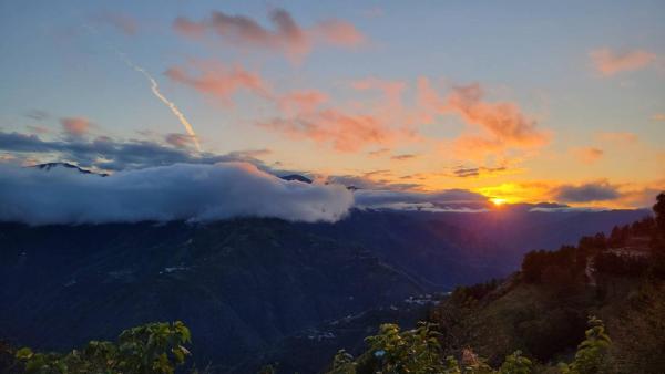 Foto 7: 桃山渡假農場