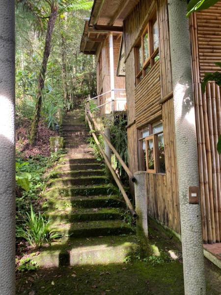A la foto es mostra l'objecte Cabañas Aldea San Francisco de Asís situat a la ciutat de Cuetzalán del Progreso.