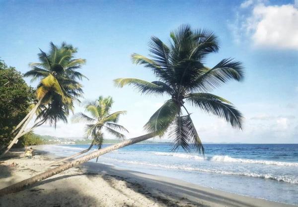 Foto 4: Superbe studio, à 20 mètres de la plage, accès direct Grande Plage Diamant