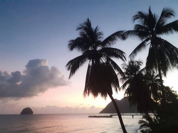 Foto 6: Superbe studio, à 20 mètres de la plage, accès direct Grande Plage Diamant