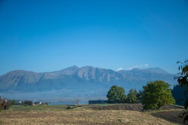 Foto 8: Soil