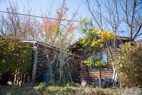 Foto 5: Soil
