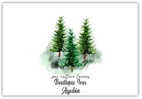 A la foto es mostra l'objecte Boutiqueinn Ayubia situat a la ciutat de Khānspur.