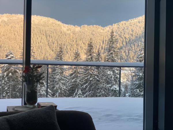 Vila Relax, Доновалы