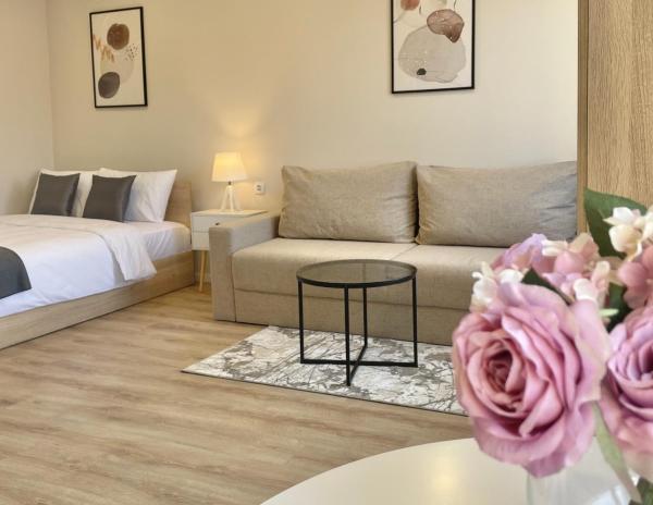 Elegant Studio For 4 Guests In City Center - Rose Valley