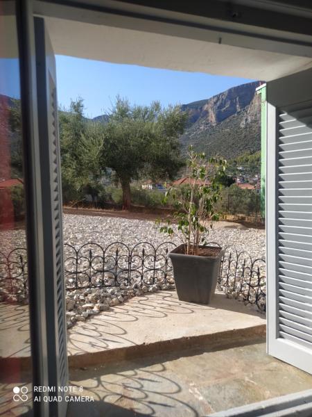 Foto 6: Simbas House