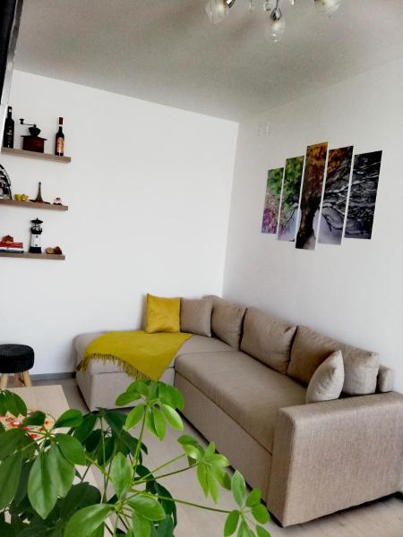 Na fotografii je vidět objekt Apartament Raluca nacházející se ve městě Măgheruş.