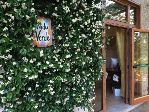 A la foto es mostra l'objecte Nido Verde situat a la ciutat de Agerola.