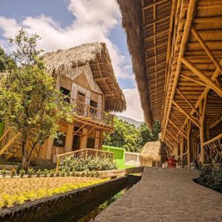A la foto es mostra l'objecte Hotel Bambú Tayrona situat a la ciutat de El Fénix.