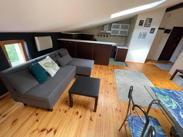 Na fotografii je vidět objekt Apartament Studio Nałęczów nacházející se ve městě Strzelce.