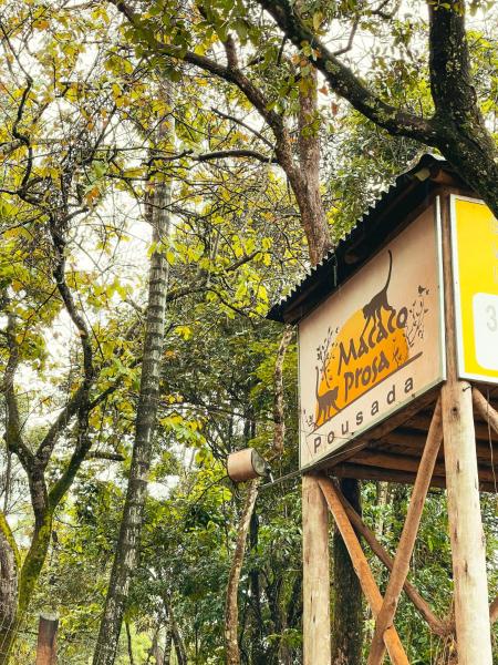 A la foto es mostra l'objecte Macaco Prosa situat a la ciutat de Macacos.