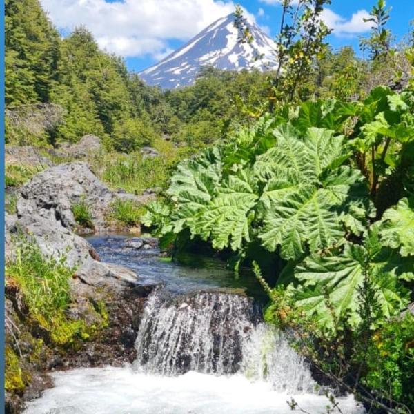 写真にはRefugio Llaima市にあるVista al volcán con tinaja y río en Conguillíoが写っています。