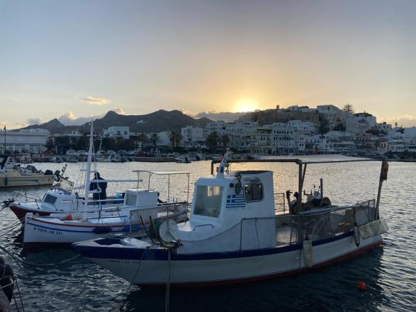 Bilde 6: Studio Seagull - By Old Market Street - Naxos Town