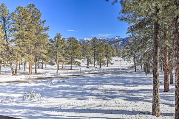 A la foto es mostra l'objecte Pagosa Springs Gem w/ Yard, Decks + Mtn Views! situat a la ciutat de Chromo.