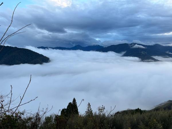 Foto 8: 桃山渡假農場