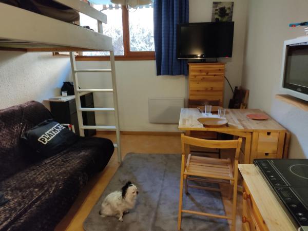 Petit Studio 17 M2 - La Foux d'Allos