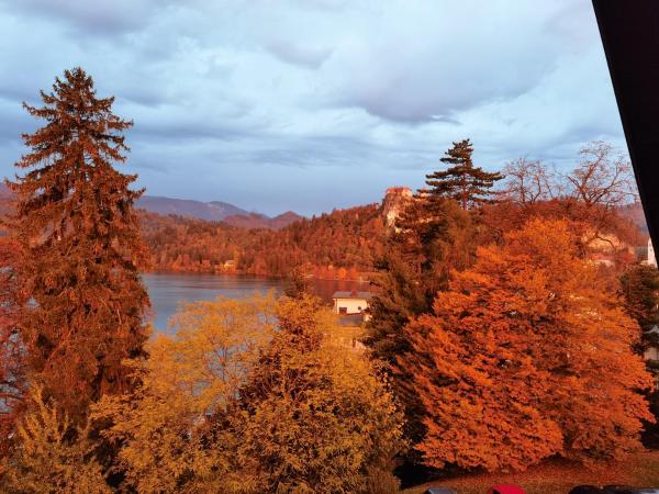 BALCON Apartments, Bled