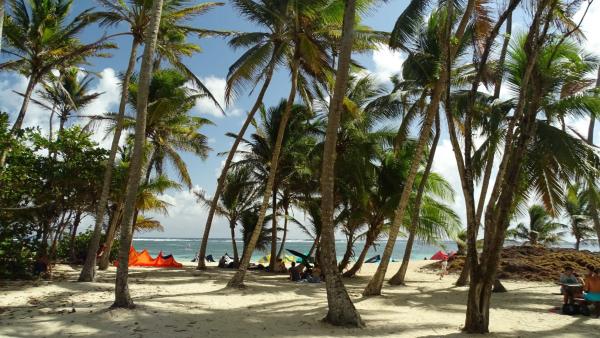 Op de foto is het object Appartement Oslo te zien, gelegen in de stad Cap Chevalier.