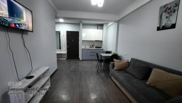 A la foto es mostra l'objecte Bakuriani-apartment situat a la ciutat de Bakuriani.