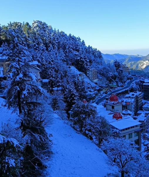 The Grand Madhushala - Shimla