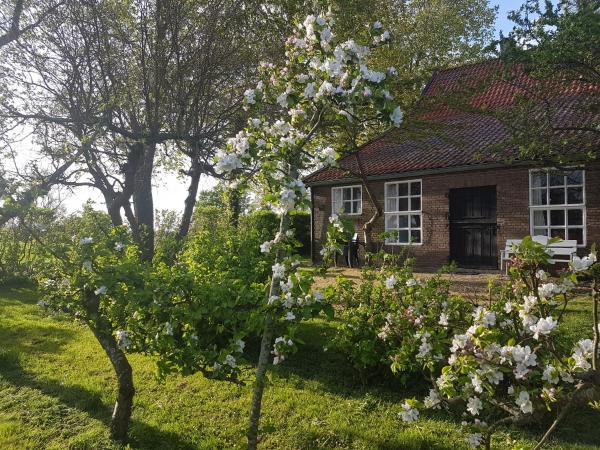 Uilengeluk - Middelburg