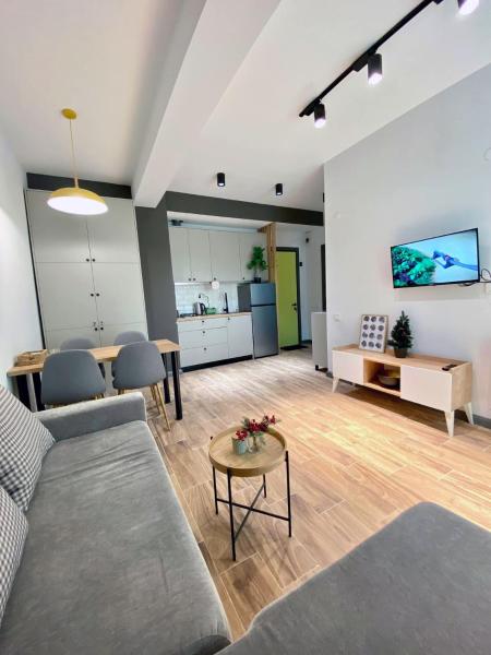 A la foto es mostra l'objecte Snow Forest Bakuriani Apartment 10 situat a la ciutat de Bakuriani.