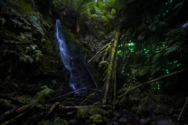 Foto 2: The Source, Otways