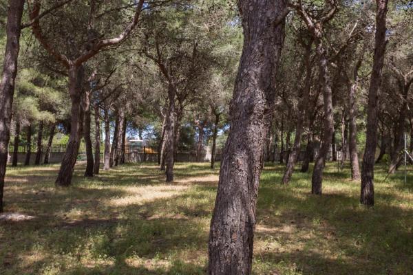 Nella foto è visibile l'oggetto Villetta La Pineta by BarbarHouse situato nella città di Torre Squillace.