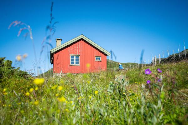 A la foto es mostra l'objecte Olestølen situat a la ciutat de Skammestein.