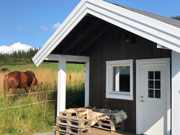 A la foto es mostra l'objecte Hytte på Myhre Gård situat a la ciutat de Skammestein.
