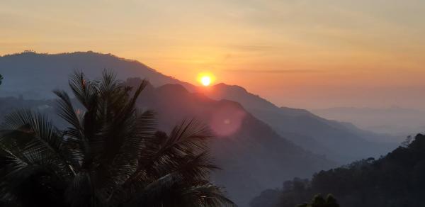 Nest Of Peak - Sri Lanka