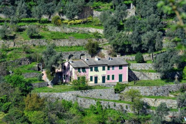Nella foto è visibile l'oggetto Villa Olivari - apt il Melograno situato nella città di San Rocco.