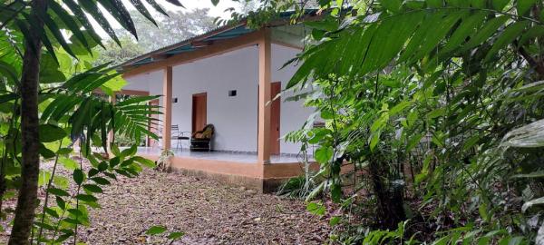 照片显示了位于Frontera Corozal市的Cabaña Sak Ja Selva Lacandona物件。
