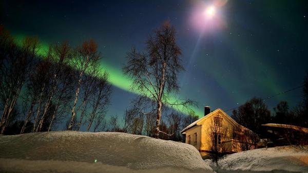 Op de foto is het object Cabin magic on Senja, atmosphere like a fairytale te zien, gelegen in de stad Botnhamn.