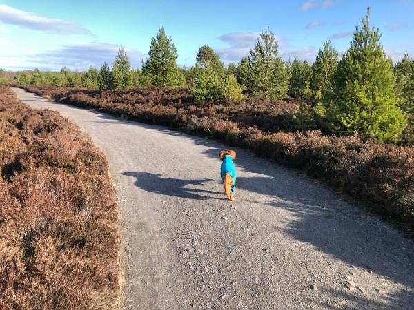 Ventoux photo 3