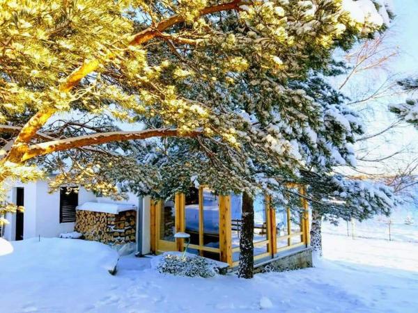 Nella foto è visibile l'oggetto Holiday house Zmajevac (Tornik, Zlatibor) situato nella città di Ribnica.
