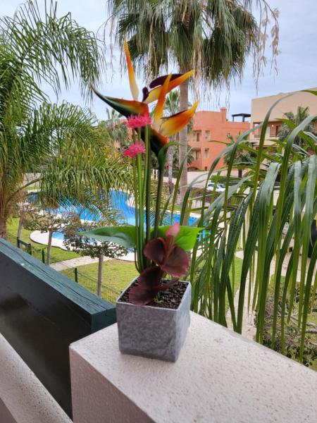 Na fotografii je vidět objekt Apartamento exótico en primera línea de Vera-Playa! nacházející se ve městě Vera.