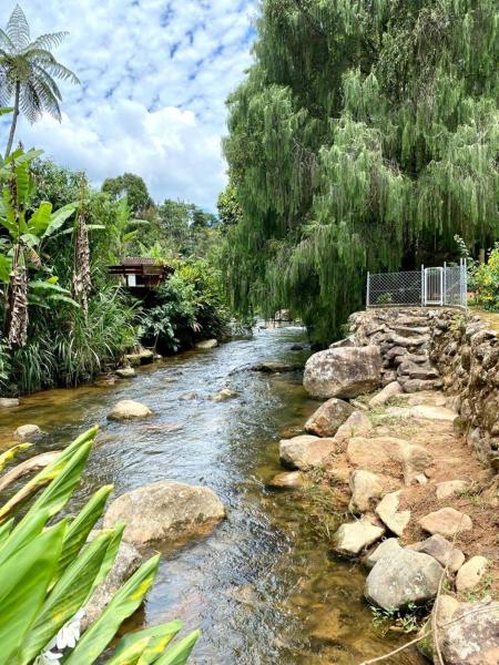 A la foto es mostra l'objecte Bangalo a beira do rio em plena natureza situat a la ciutat de Inglesa.