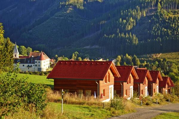 Foto 8: Chalet in Gaal by Ski Slopes & Bathing Pond