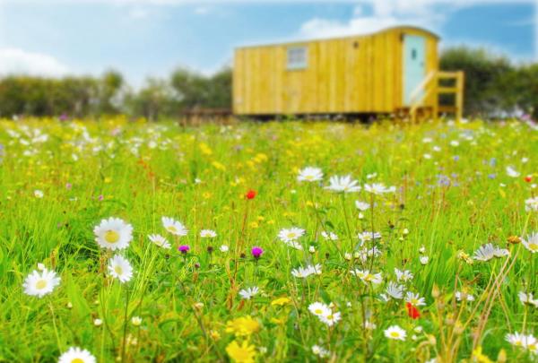 Honeysuckle Farm Holidays By Stay In Suffolk, Monk Soham - Framlingham
