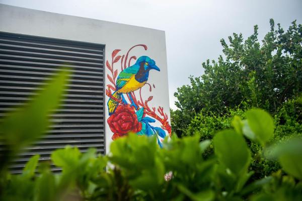 На фото показан объект Departamentos Internazionale, расположенный в городе Мерида.